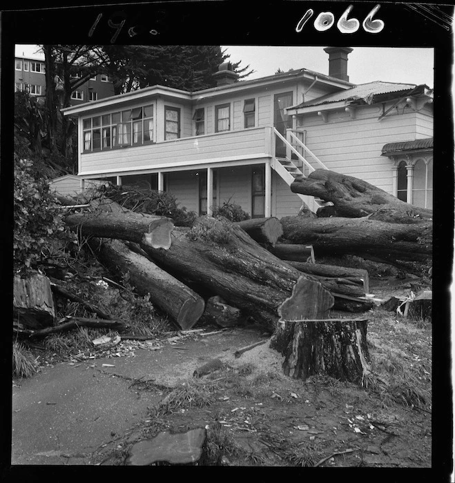 black and white picture of a house with large tree logs lying in front.